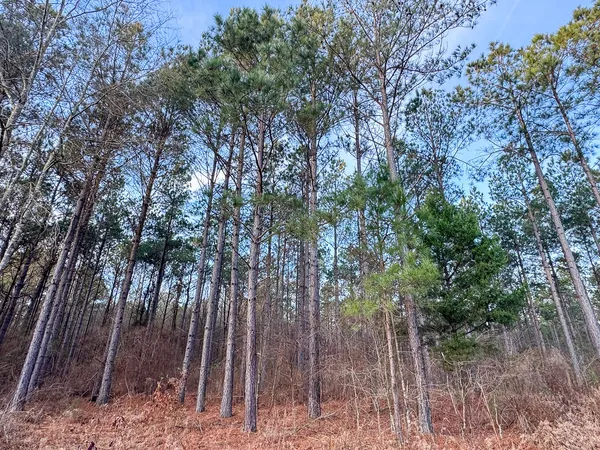 a backyard of a house with lots of plants and tree