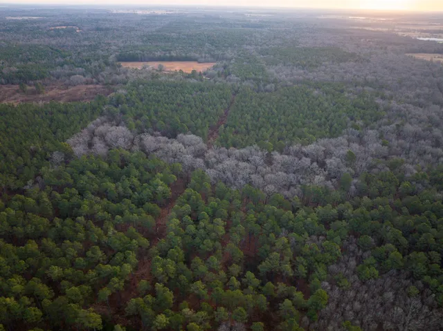 a view of a big yard