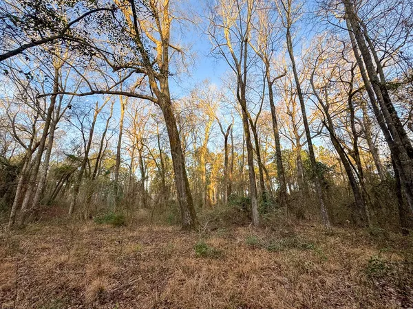 a view of lake with trees