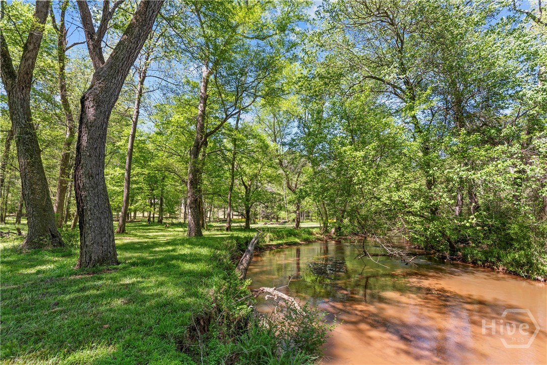 599 Double Branch Road Danielsville, GA 30633 - Photo 49 of 70