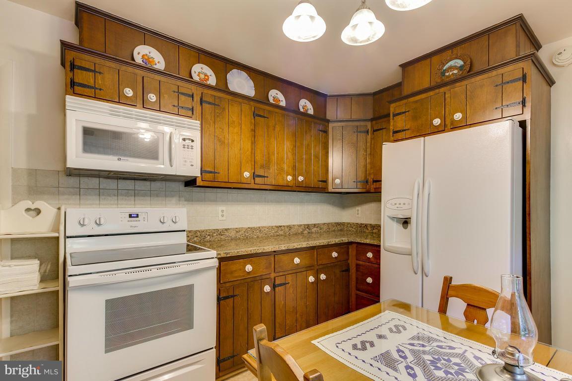 2917 Timber Ridge Drive Mount Airy, MD 21771 - Photo 17 of 30 Kitchen