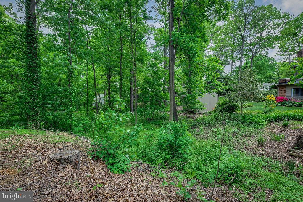 2917 Timber Ridge Drive Mount Airy, MD 21771 - Photo 7 of 30 View
