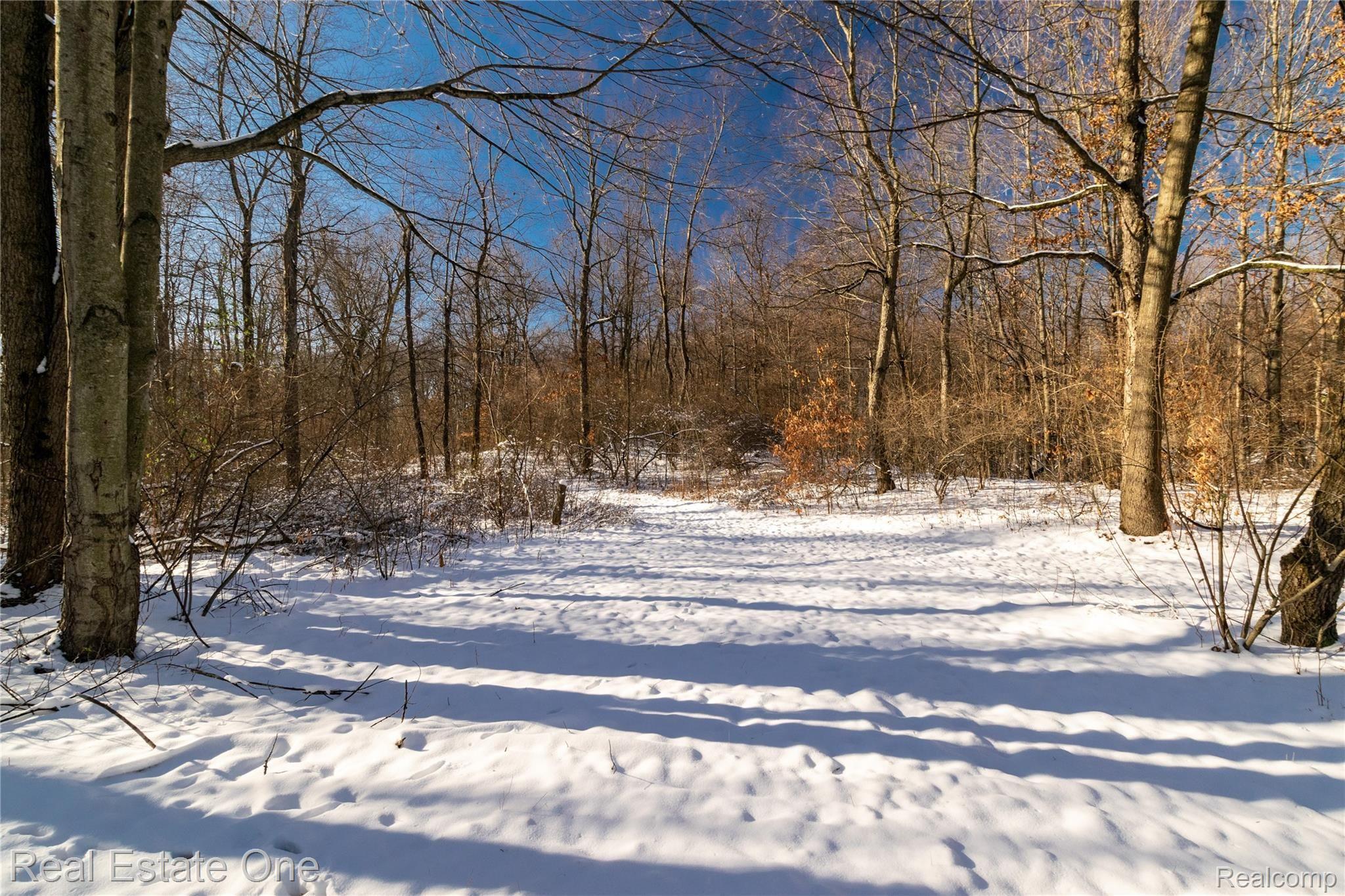 2780 North Lake George Road Metamora, MI 48455 - Photo 12 of 49 2780NLakeGeorgeRd-12.jpg