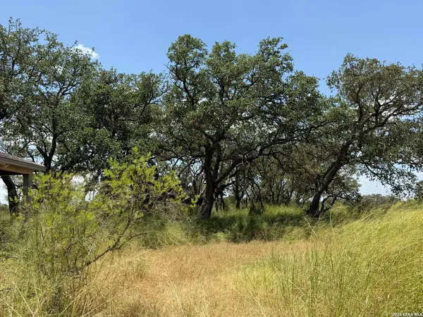 $290,000 | 380 County Road 6723, Natalia, TX 78059