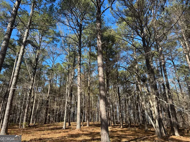 a view of a building with street