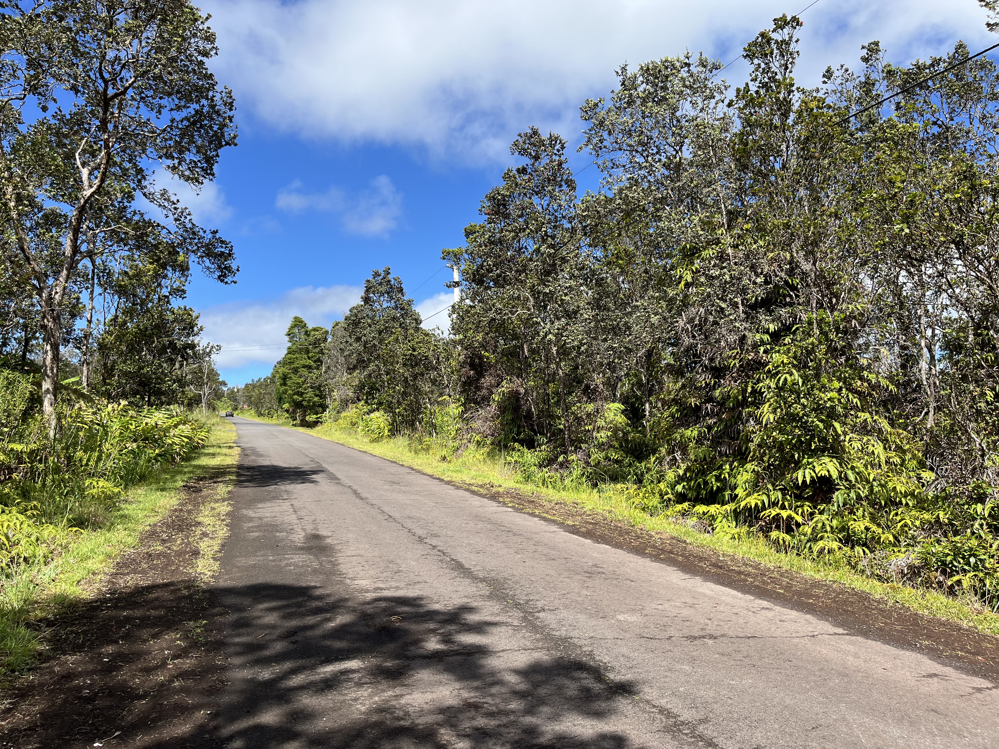 2133 Mokuna Street Volcano, HI 96785 - Photo 5 of 6