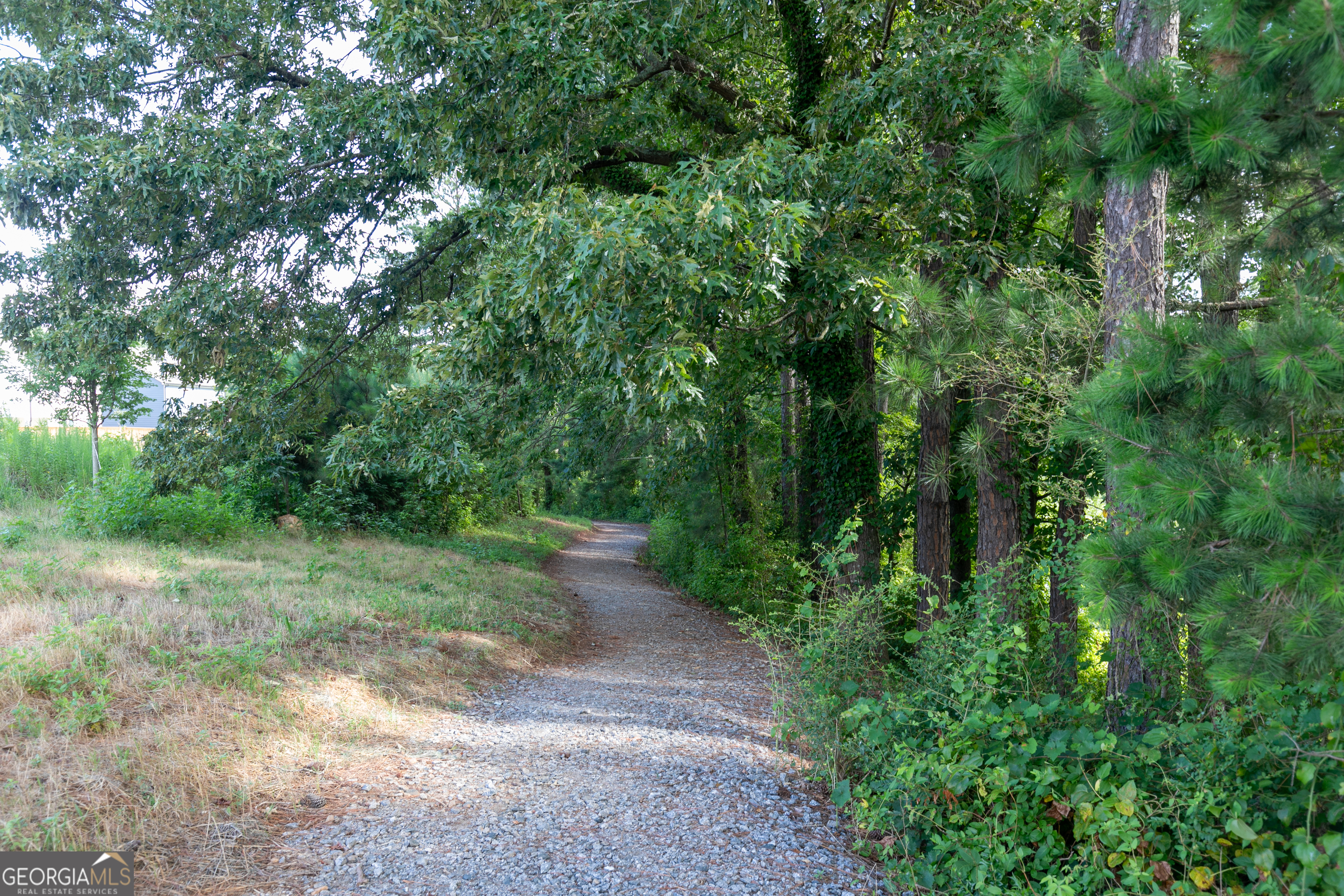 732 Coventry Cv Way Acworth, GA 30102 - Photo 15 of 41 a view of a yard with large trees