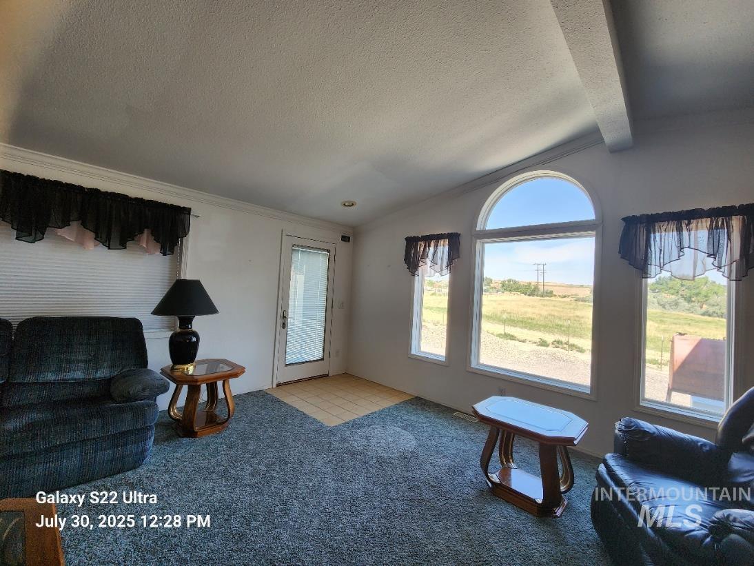 650 Ash Street Vale, OR 97918 - Photo 13 of 24 Living room featuring carpet floors and a textured ceiling