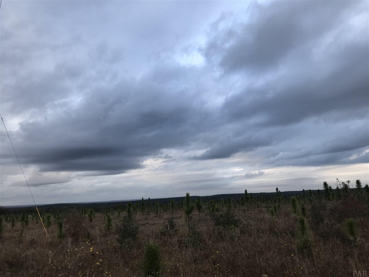 Lot 35-mbn Molino Bridge Road Pace, FL 32571 - Photo 1 of 5 Gallery Image 1