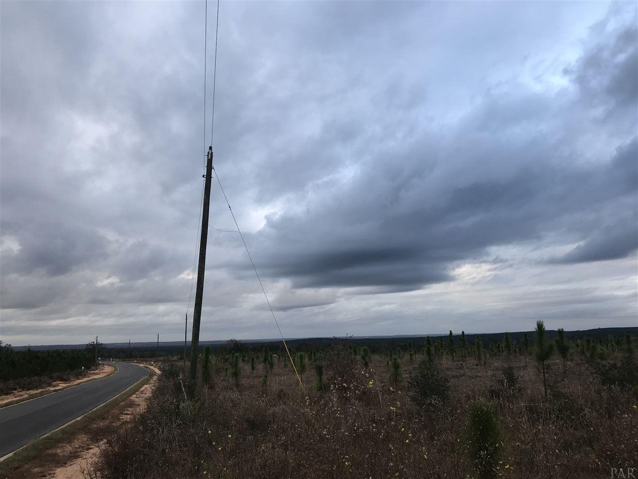 Lot 35-mbn Molino Bridge Road Pace, FL 32571 - Photo 2 of 5 Gallery Image 2