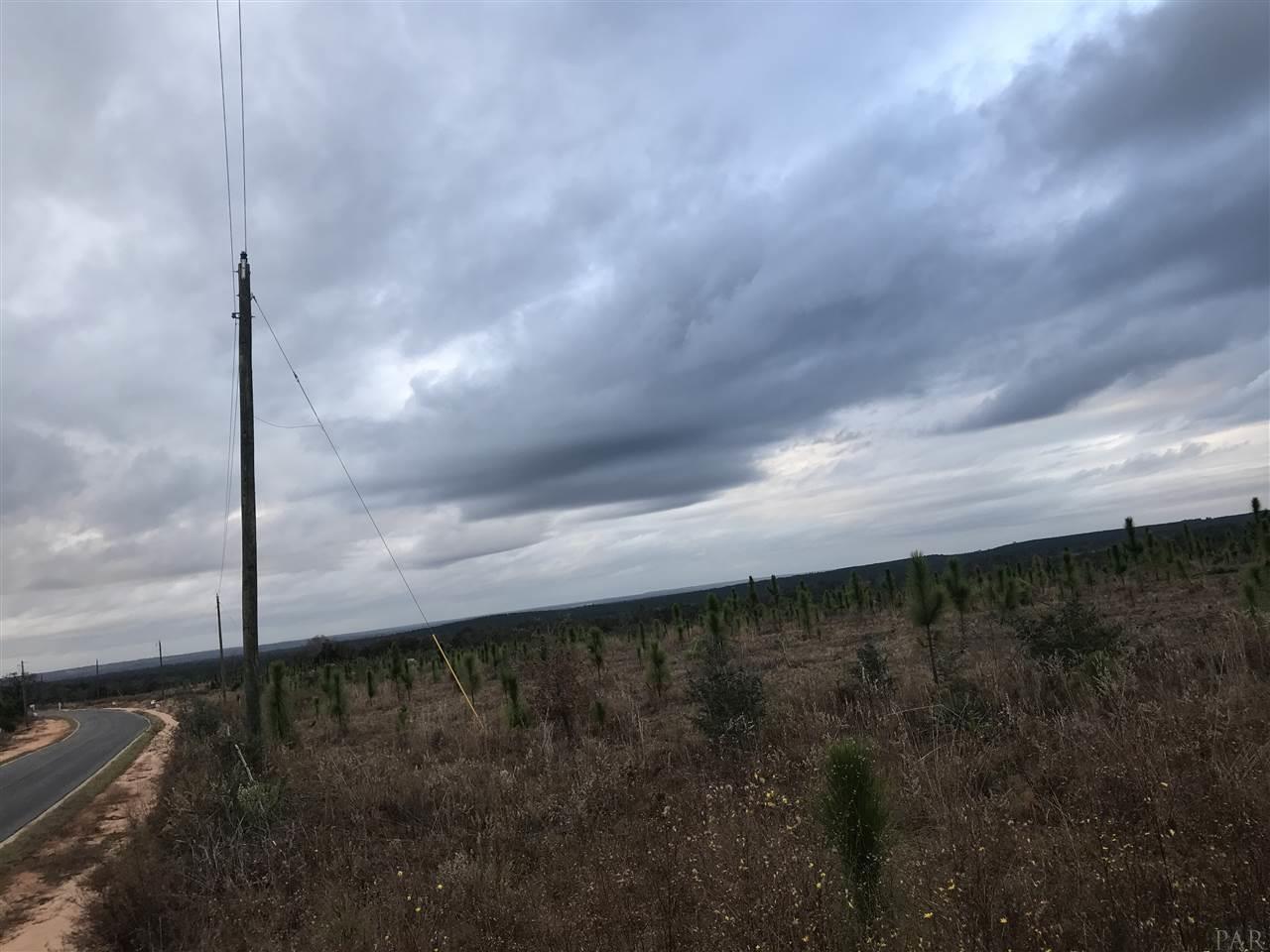 Lot 35-mbn Molino Bridge Road Pace, FL 32571 - Photo 3 of 5 Gallery Image 3