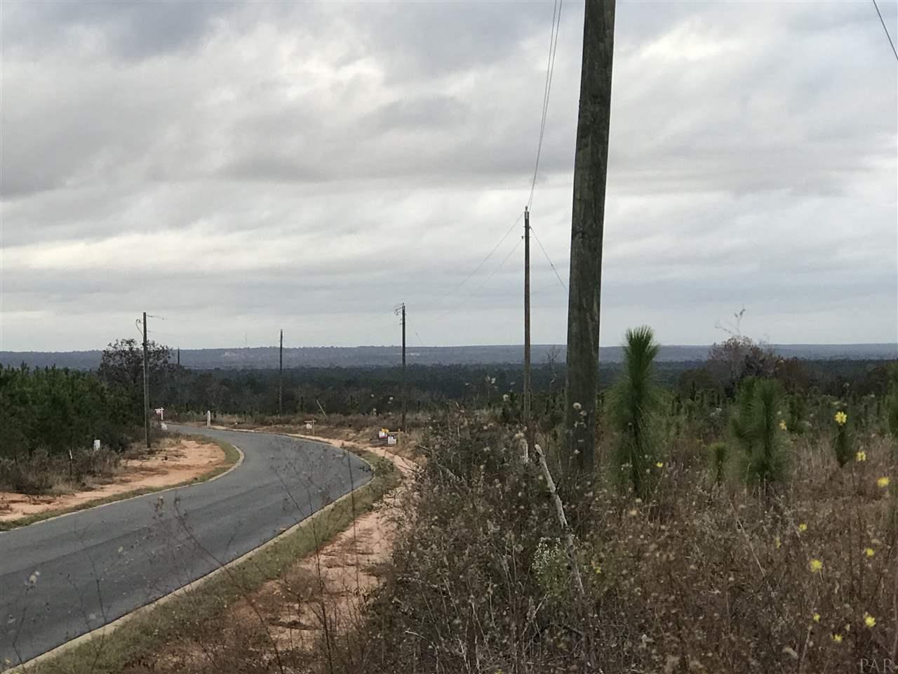 Lot 35-mbn Molino Bridge Road Pace, FL 32571 - Photo 4 of 5 Gallery Image 4