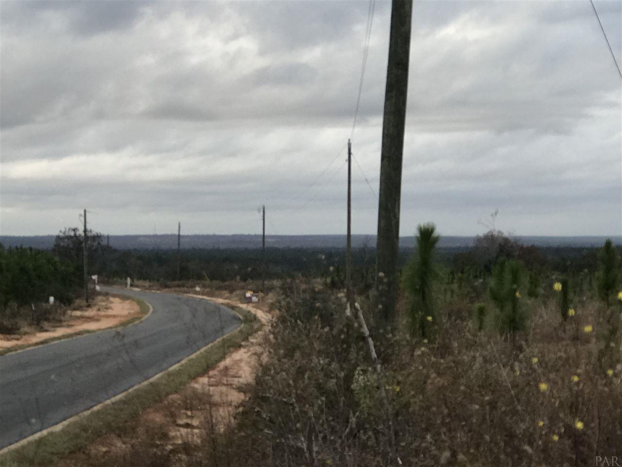 Lot 35-mbn Molino Bridge Road Pace, FL 32571 - Photo 5 of 5 Gallery Image 5