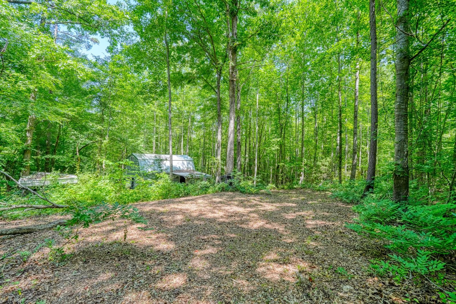 0 Long Branch Road Enoree, SC 29335 - Photo 3 of 16