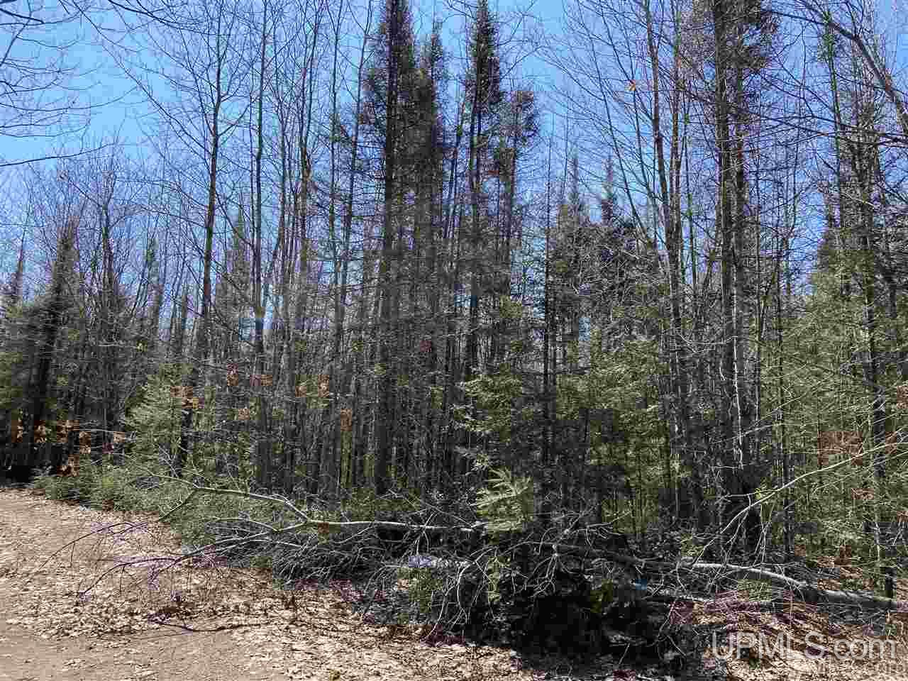 Tbd Tbd Off Powerline Gwinn, MI 49841 - Photo 18 of 28