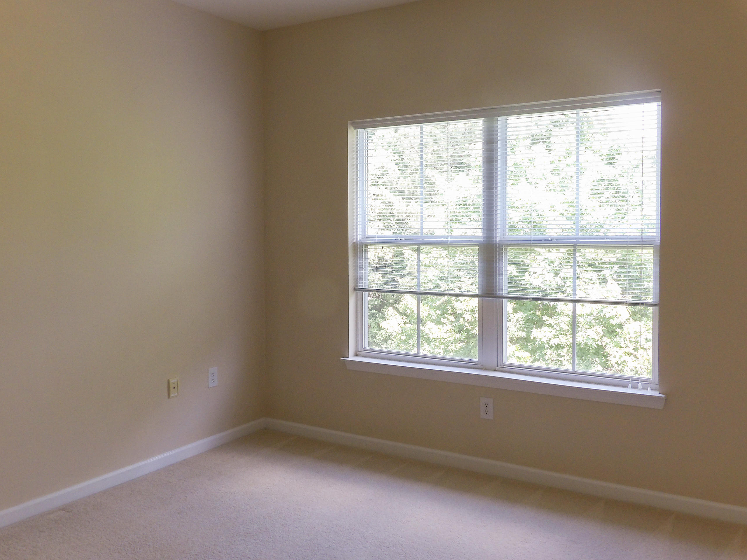 3207 Mariners Way Moncks Corner, SC 29461 - Photo 12 of 19 100_0012