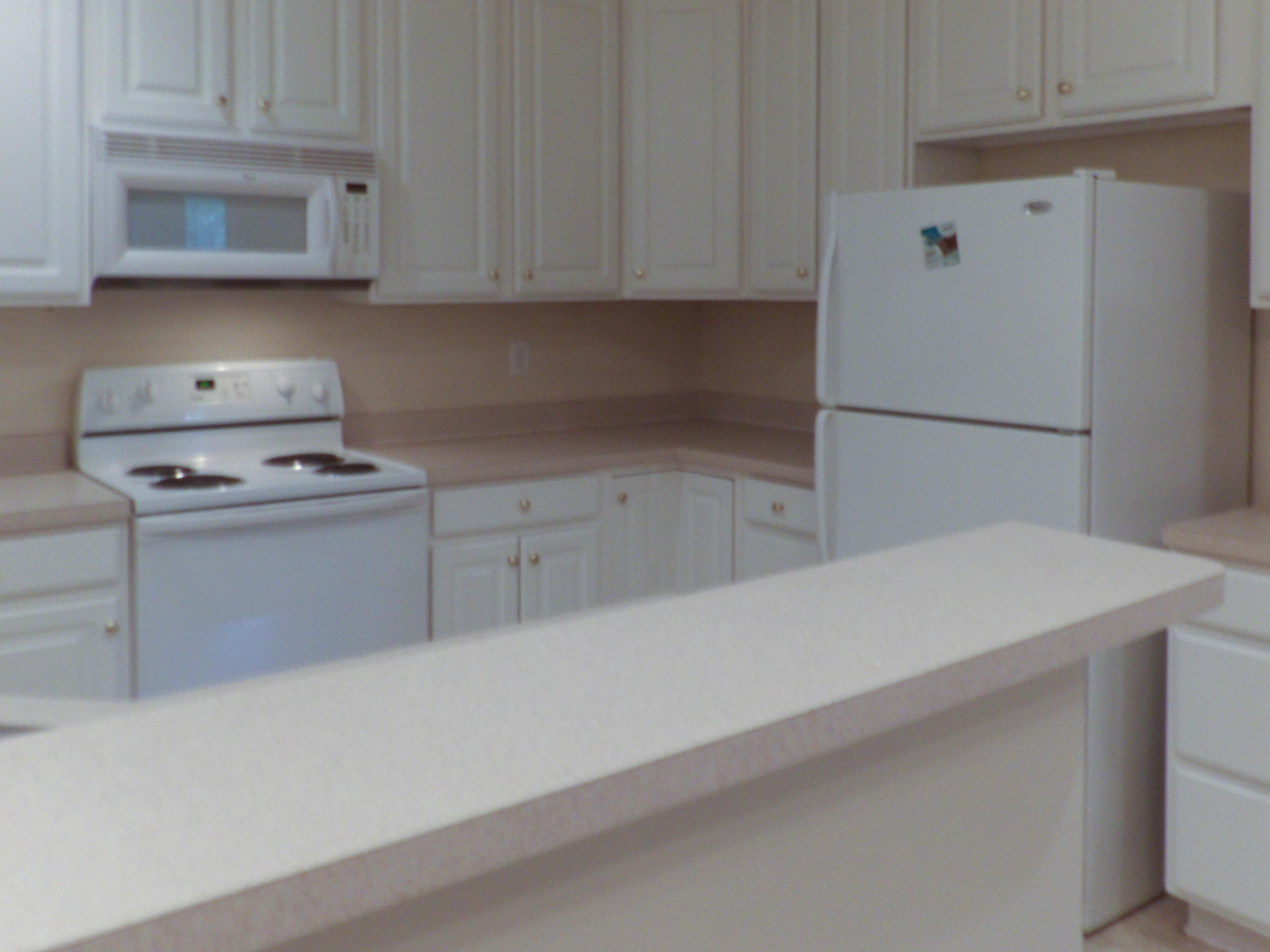 3207 Mariners Way Moncks Corner, SC 29461 - Photo 3 of 19 100_0002
