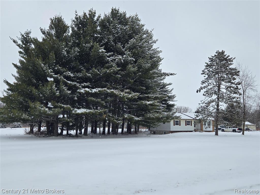 4493 Ward Road North Branch, MI 48461 - Photo 2 of 16 Gallery Image 2