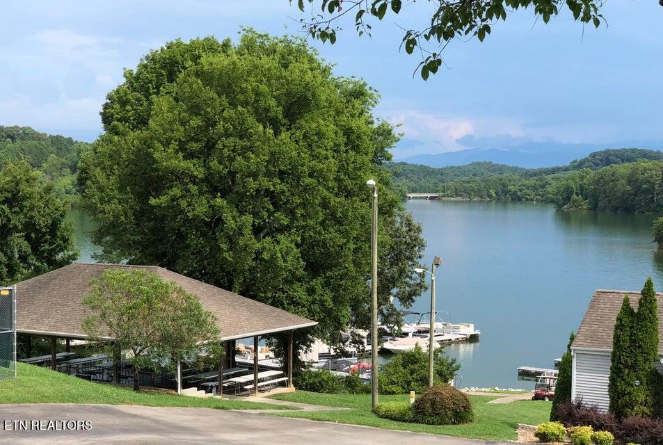 103 Timberlake Drive Greenback, TN 37742 - Photo 6 of 8 Dock