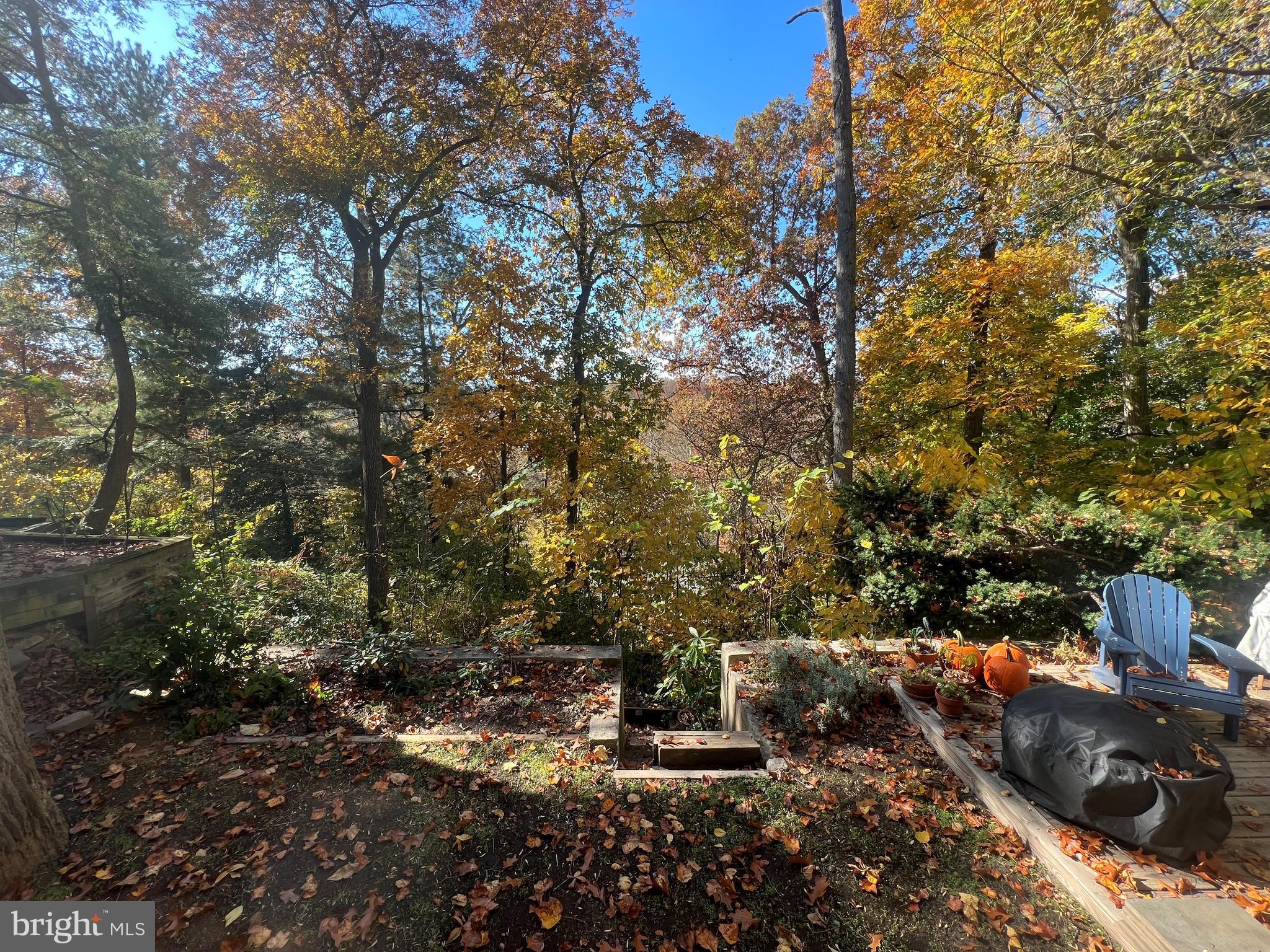 6506 Ridge Drive Bethesda, MD 20816 - Photo 26 of 29 a view of outdoor space with garden