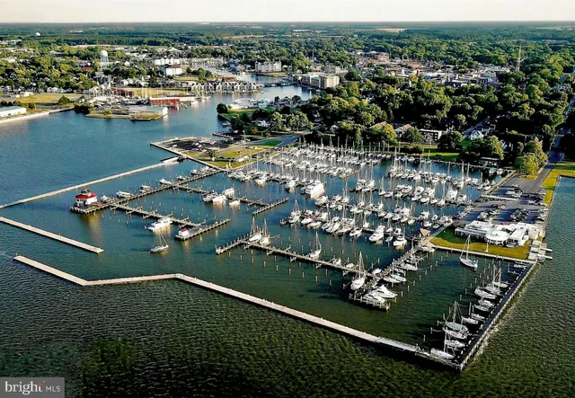 an aerial view of a house with a lake view