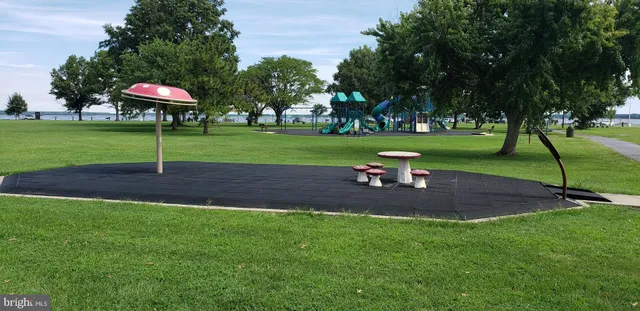 a view of a park with large trees