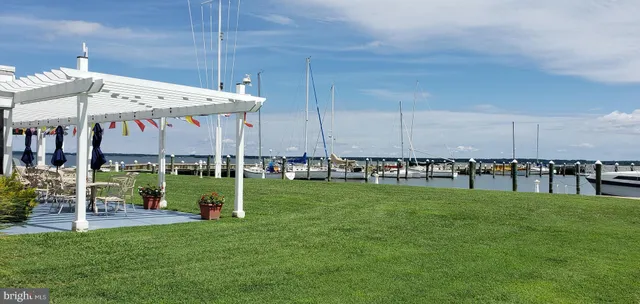 a view of water with boats and trees in the background