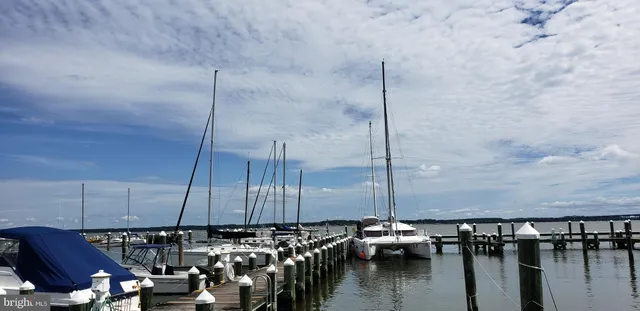 a couple of boats are docked in a harbor