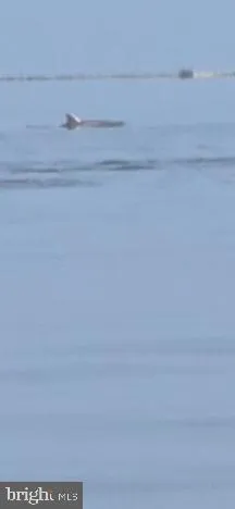 a view of street with houses and trees in the background