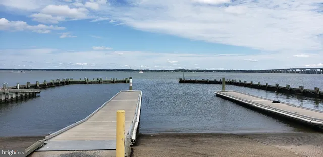a grassy field with trees in the background