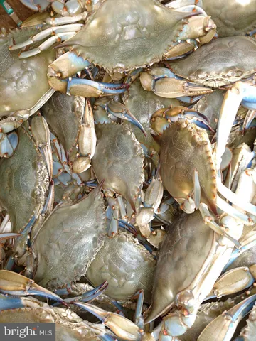 a view of an ocean and beach