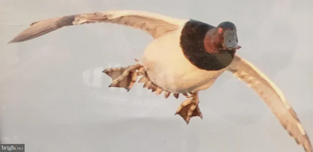 $225,000 | 700 Cattail Cove, Unit 302, Cambridge, MD 21613