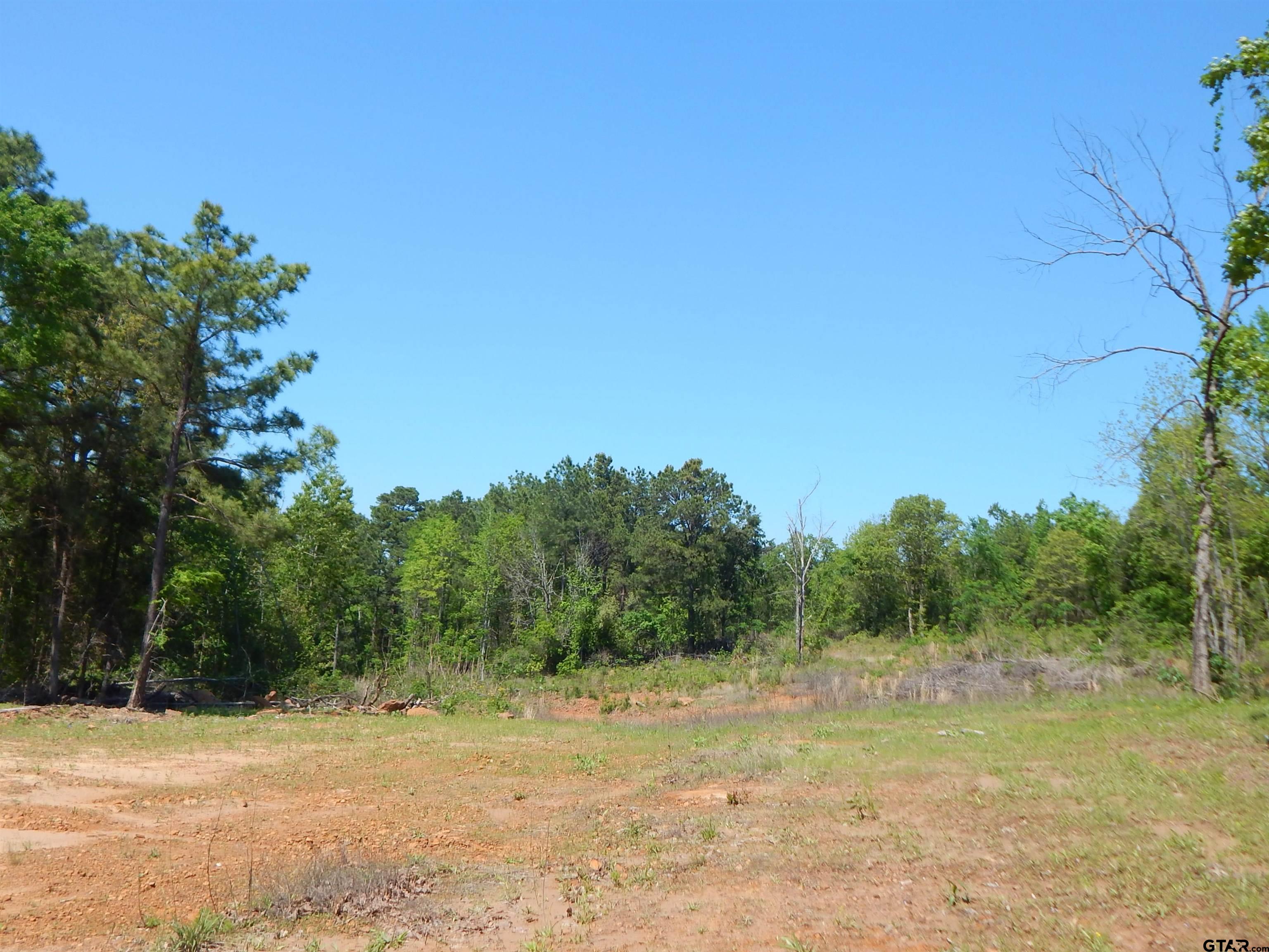 15 Acres Fm 1795 Big Sandy, TX 75755 - Photo 15 of 15