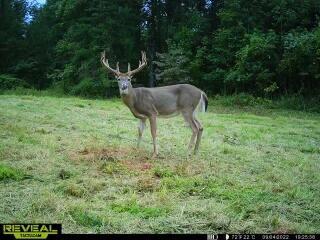 0 Lovett Road Long Bottom, OH 45743 - Photo 26 of 39 IMG_0237