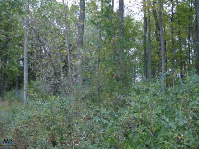 0 Rapson Road Bad Axe, MI 48413 - Photo 9 of 10