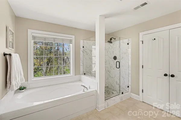 a bathroom with a vanity bathtub and shower