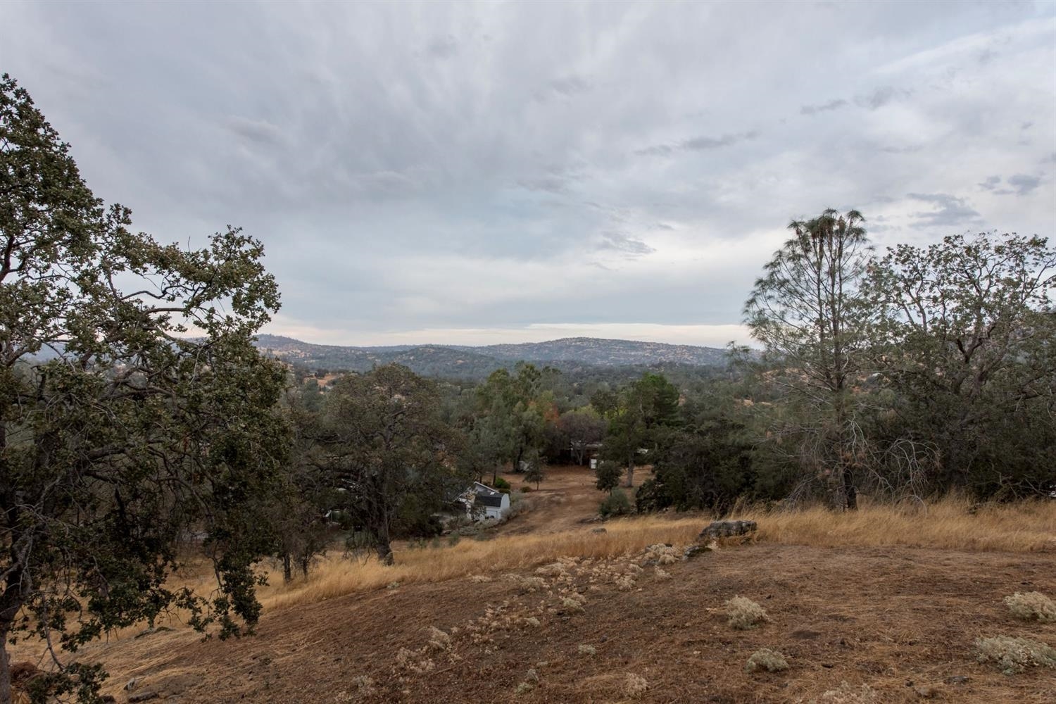 29732 Revis Road Coarsegold, CA 93614 - Photo 2 of 10 Gallery Image 2