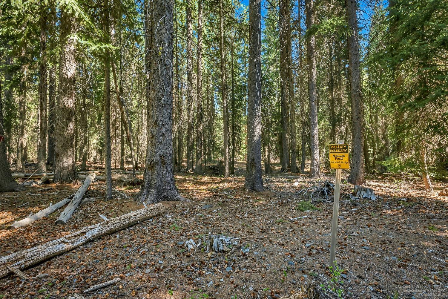 16661 Skyliners Road Bend, OR 97703 - Photo 6 of 24 Additional Photo