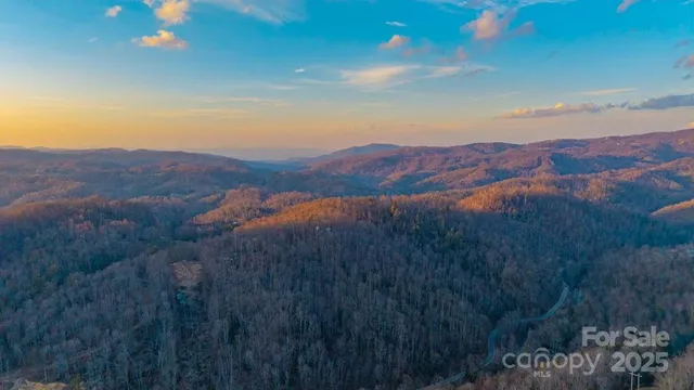 a view of a lush green hillside and a mountain