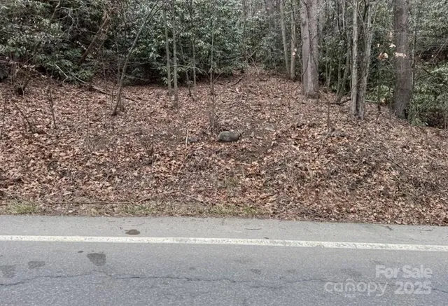 a view of a yard with large trees
