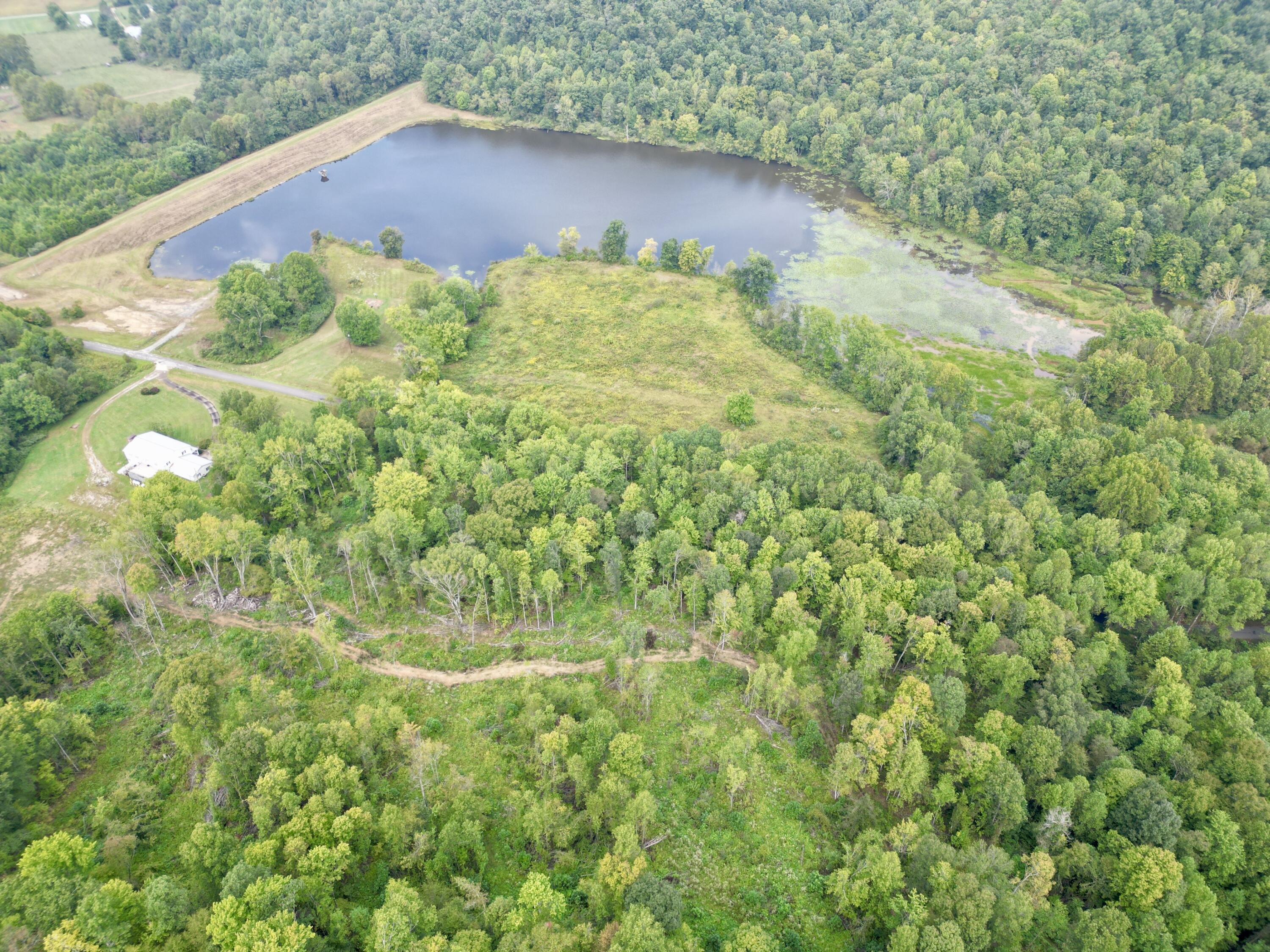 758 Stockton Road Wallingford, KY 41093 - Photo 71 of 90 dji_fly_20260918_094642_774_178975027712
