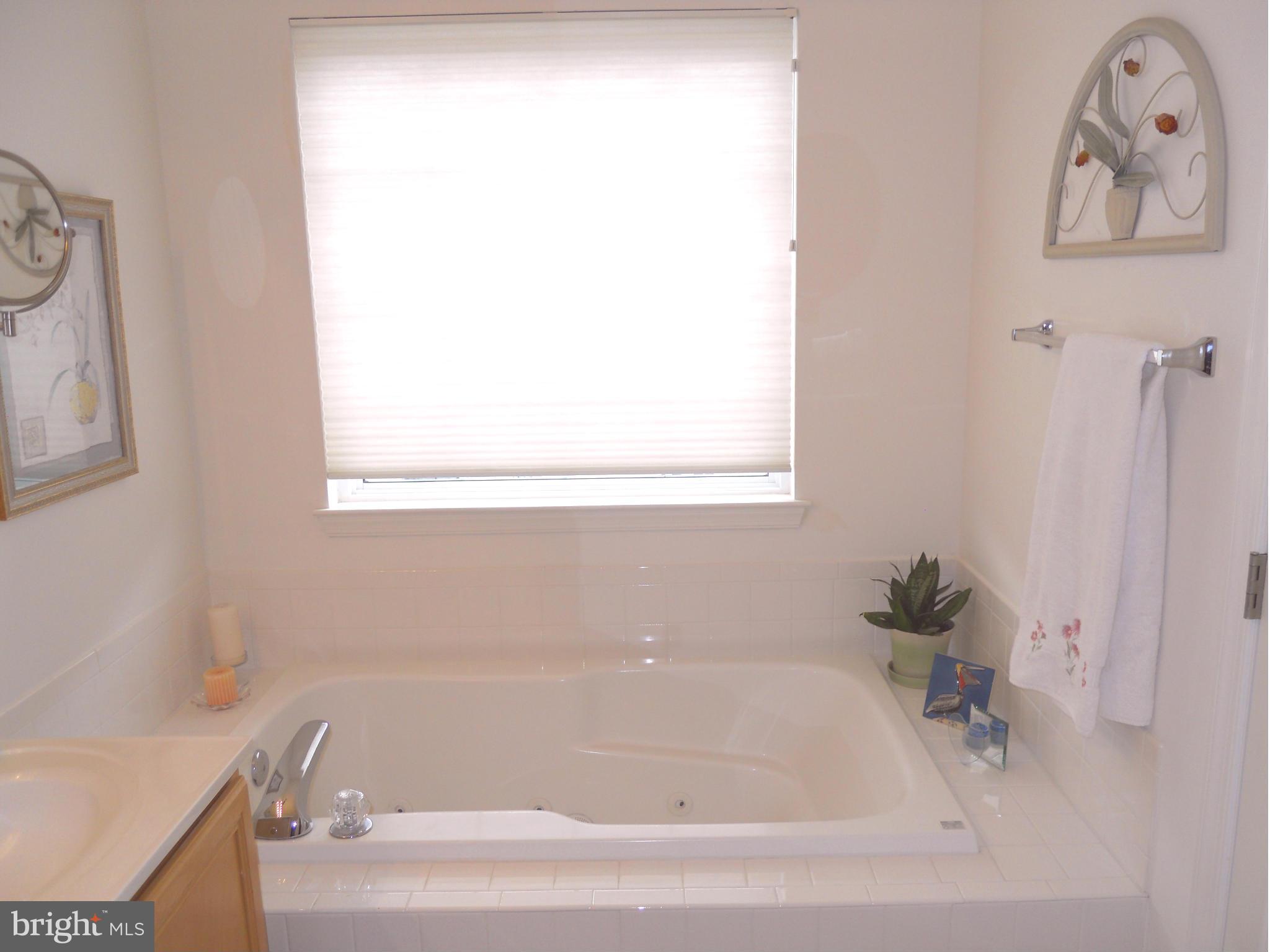 14007 Rockingham Road Germantown, MD 20874 - Photo 9 of 15 Master Bath
