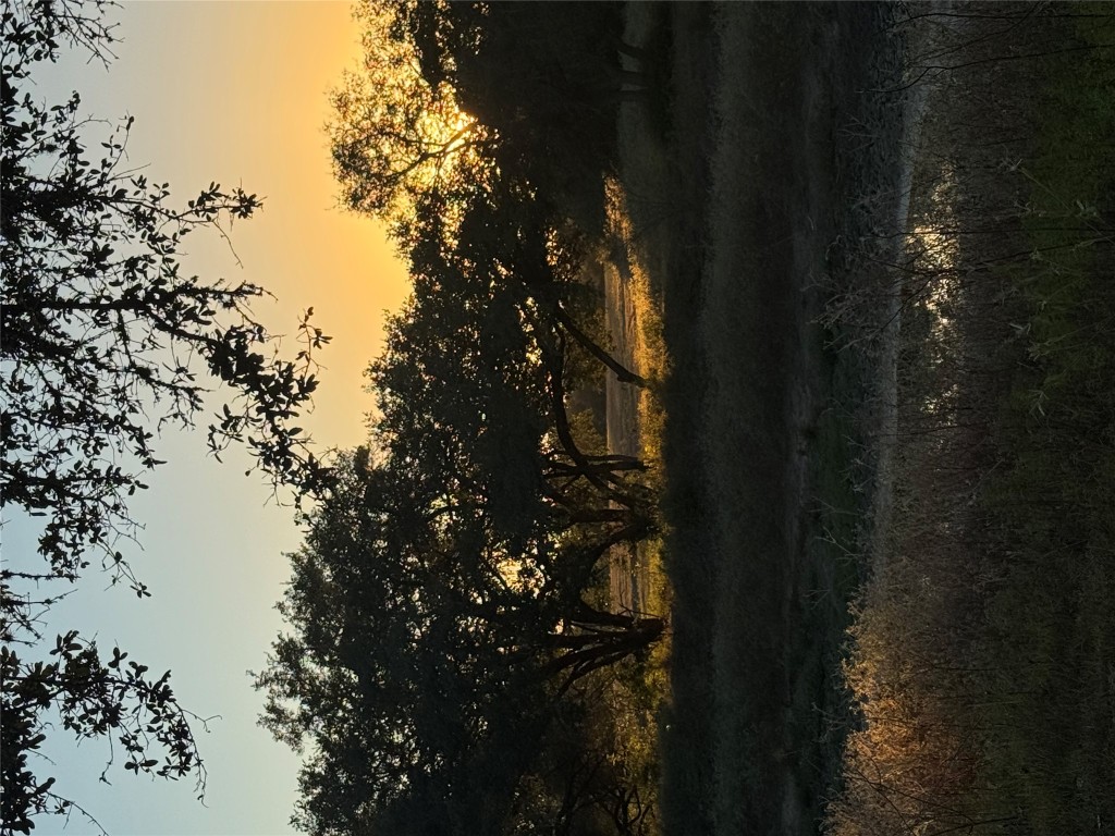 2636 East Fm 532 Schulenburg, TX 78956 - Photo 13 of 40 a view of lake from yard