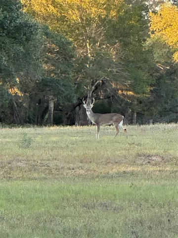a view of a backyard with a table and chairs