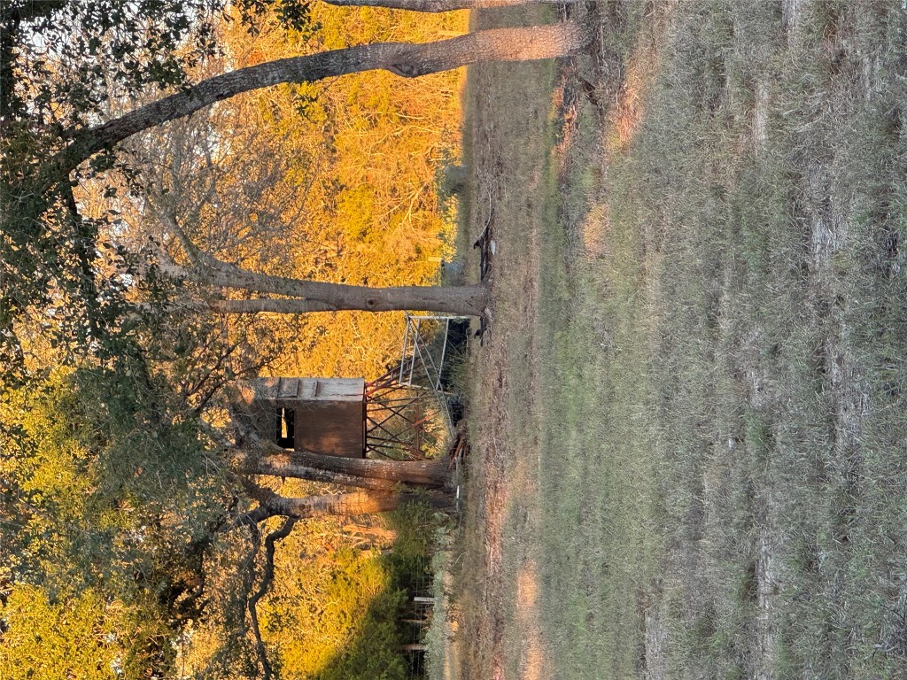 2636 East Fm 532 Schulenburg, TX 78956 - Photo 21 of 40 a view of a yard with large tree and plants