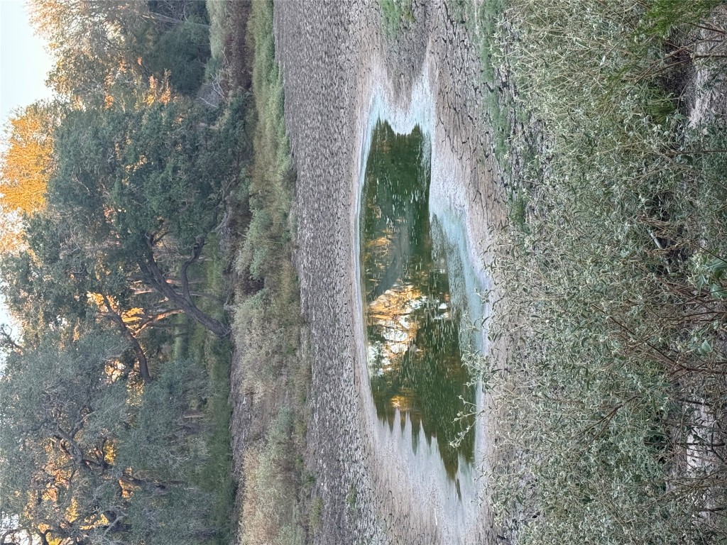 2636 East Fm 532 Schulenburg, TX 78956 - Photo 39 of 40 a view of a yard with a tree
