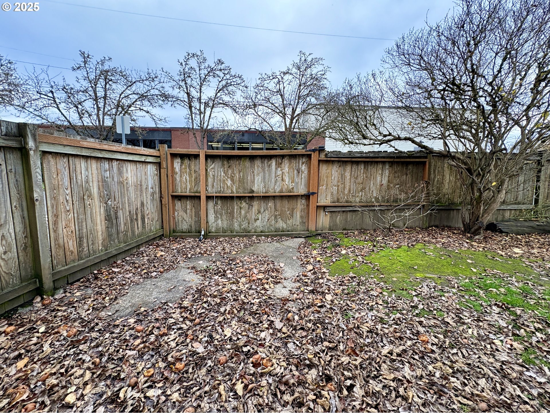 12305 Southwest 7th Street Beaverton, OR 97005 - Photo 22 of 23 a backyard of a house with large trees and wooden fence