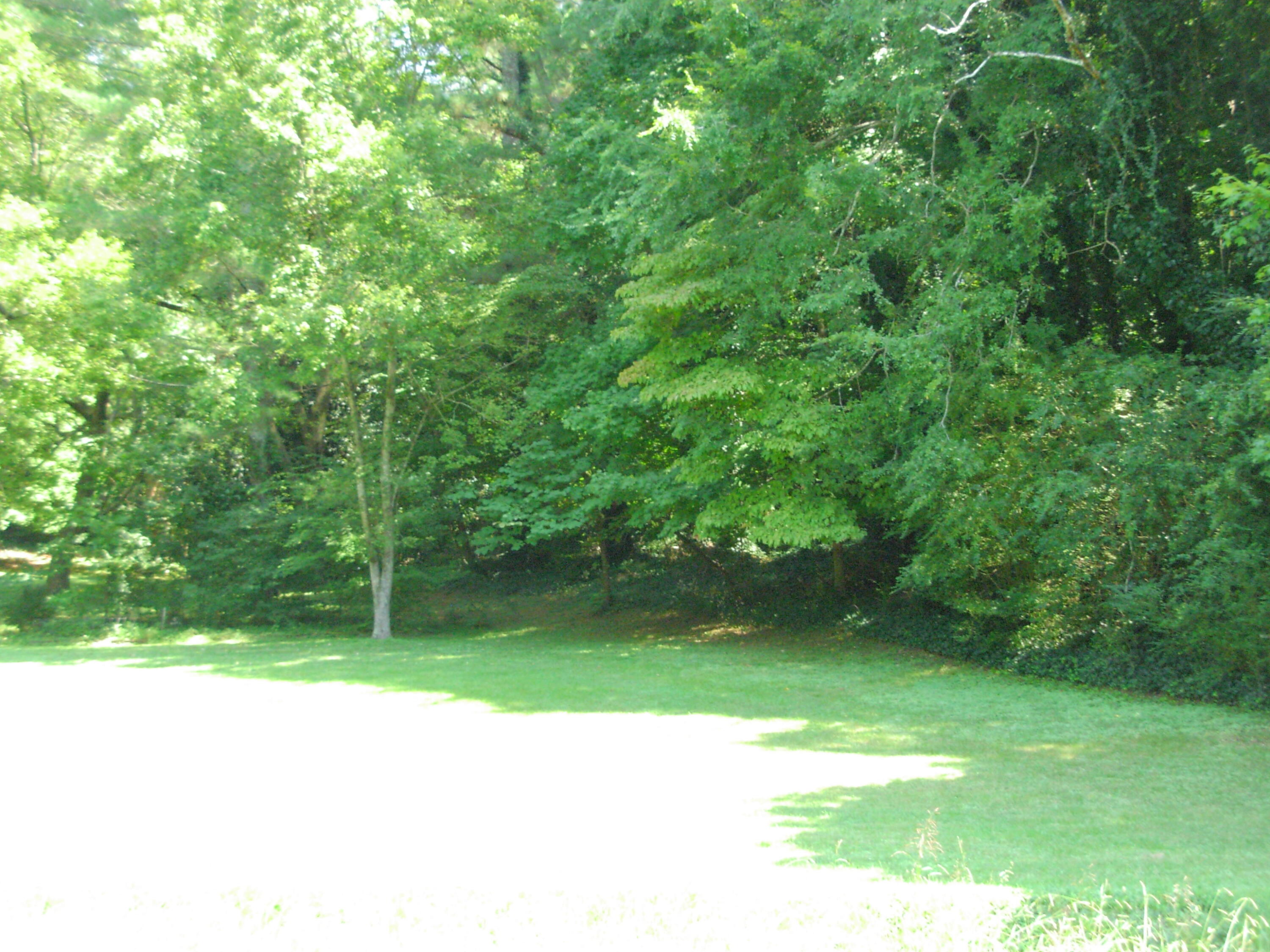 1611 Mission Ridge Road Rossville, GA 30741 - Photo 36 of 40 DSCN6539