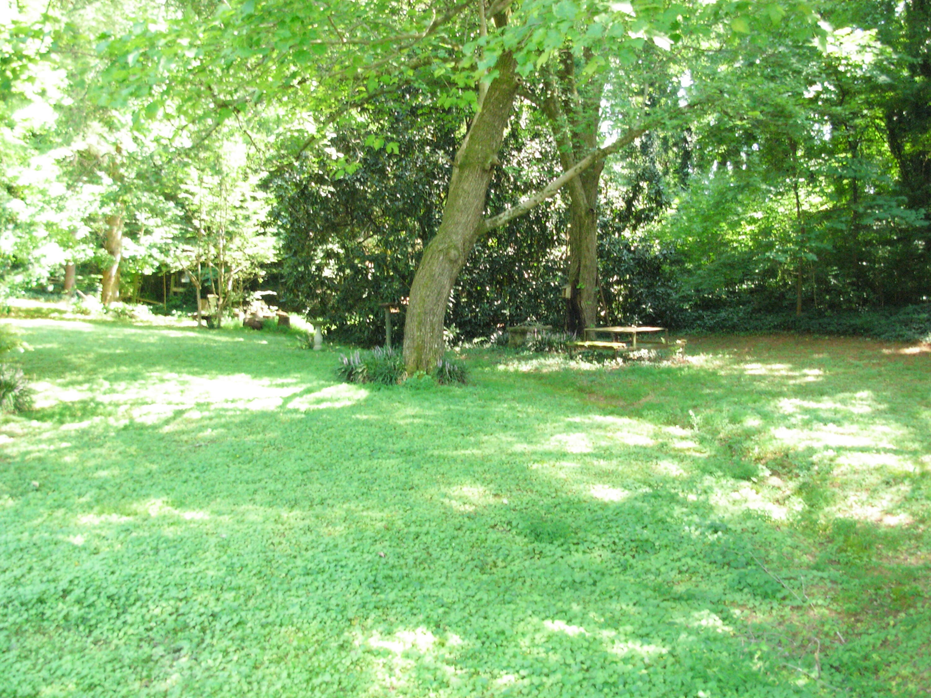 1611 Mission Ridge Road Rossville, GA 30741 - Photo 39 of 40 DSCN6551