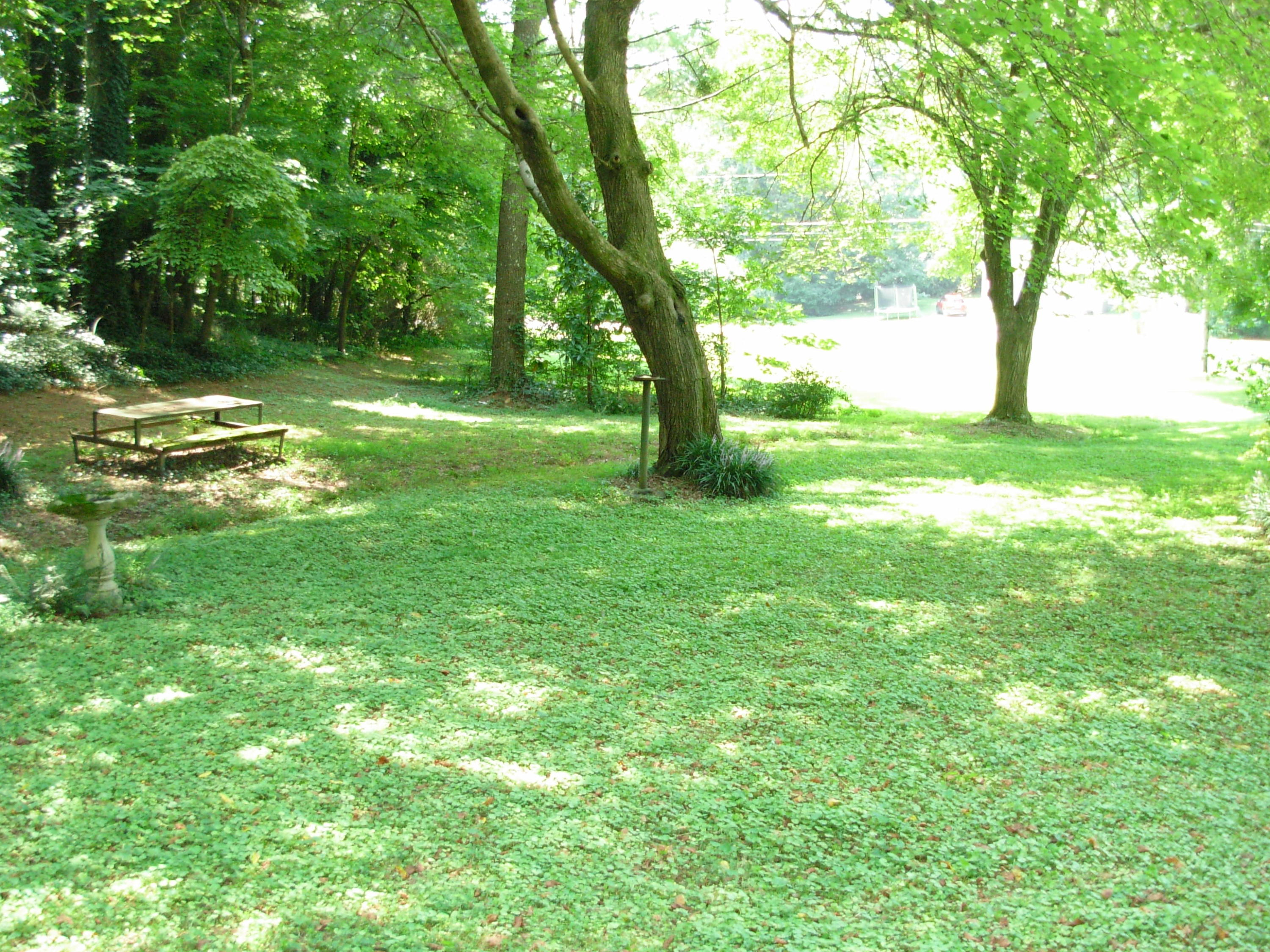 1611 Mission Ridge Road Rossville, GA 30741 - Photo 6 of 40 DSCN6548